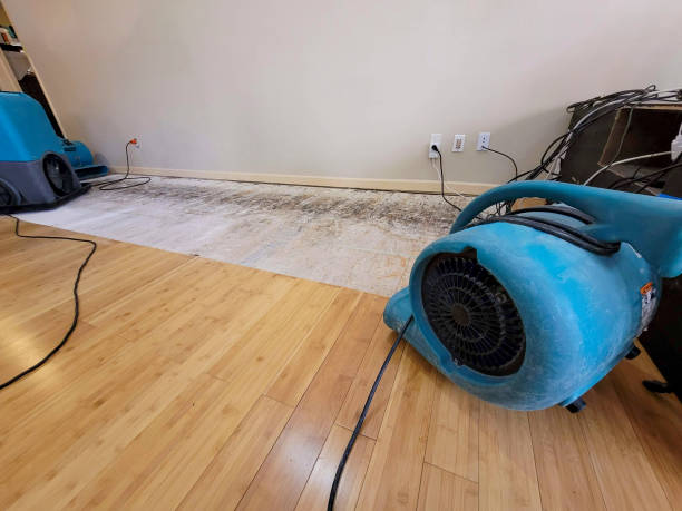 Reliable Burst Pipe Water Damage contractor in Louisville, IL by Hirex Water Damage