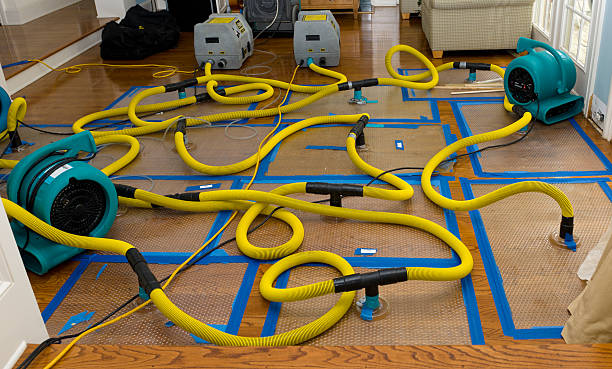 Professional Burst Pipe Water Damage technician working in Louisville, IL