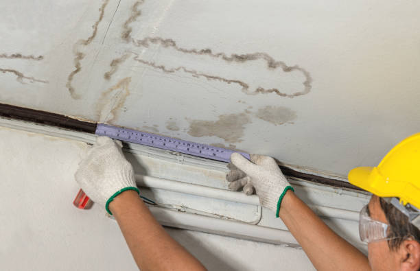 Affordable Water Damage Repair solutions in Louisville, IL
